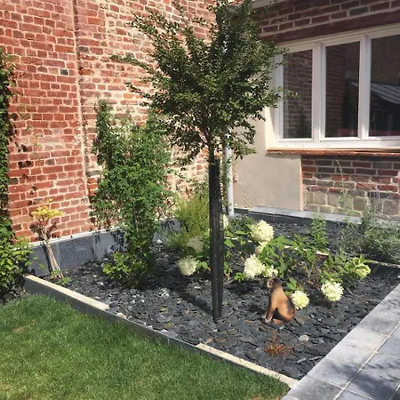 Les D'hotes Du Palais Homestay Douai
