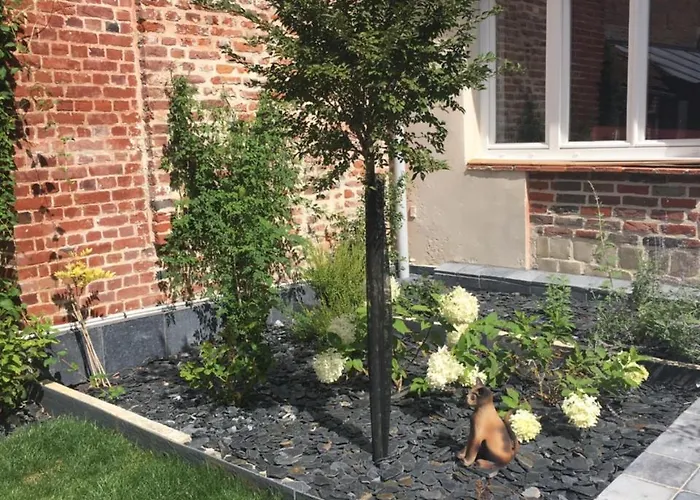 Les D'hotes Du Palais Séjour chez l'habitant Douai